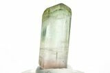 Bi-Colored Elbaite Tourmaline Crystal - Rubaya, DR Congo #206890-1